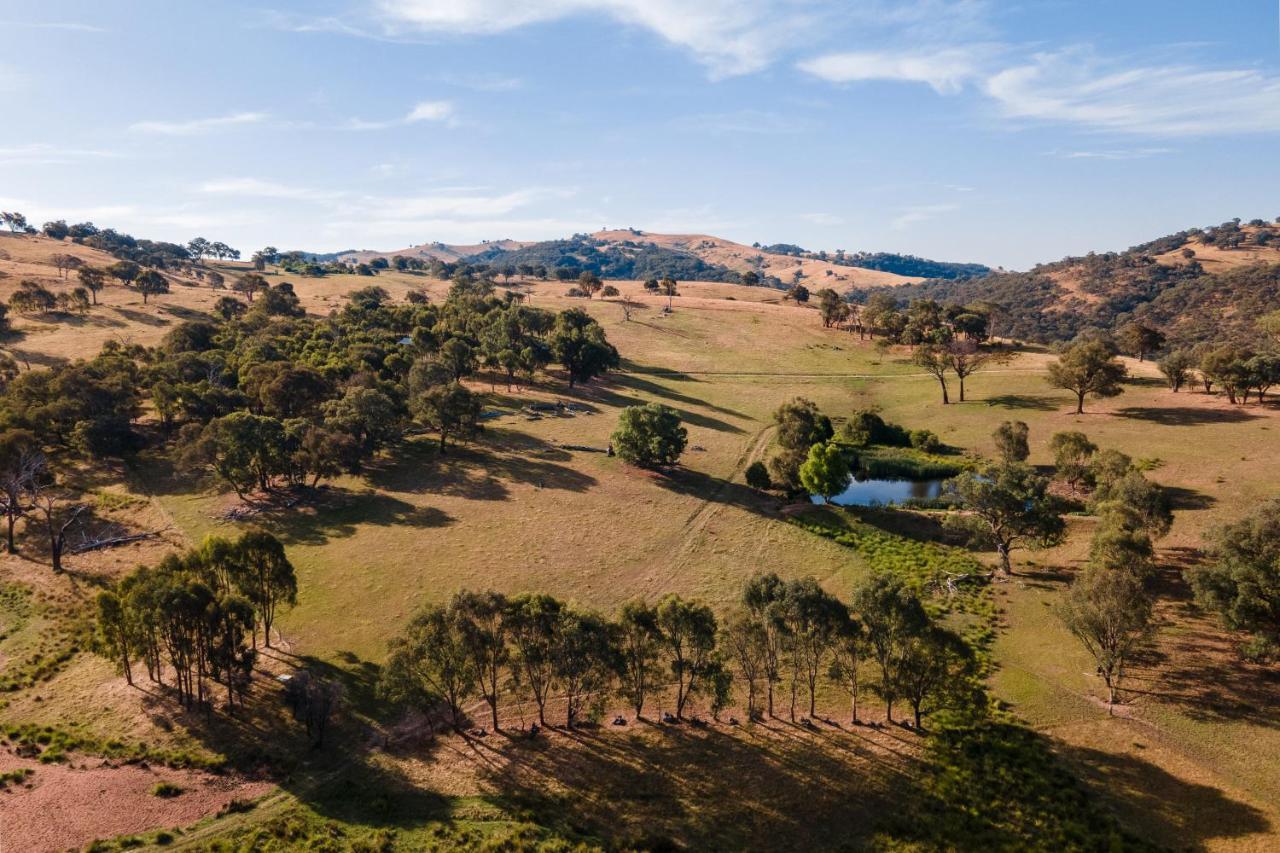 Gaddleen Grove Cottages Wodonga Dış mekan fotoğraf